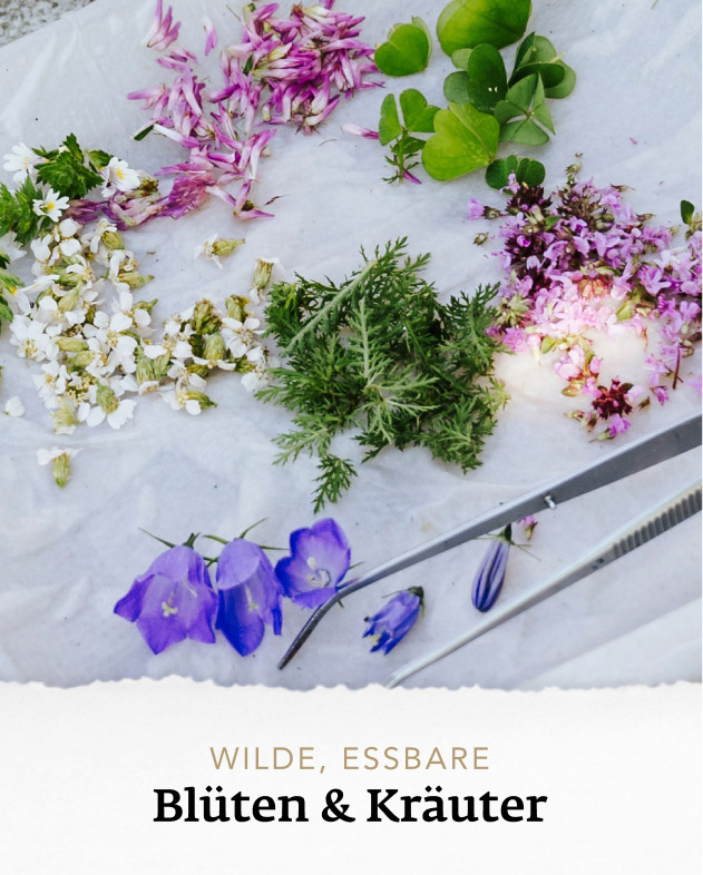 wilde, essbare Blüten und Kräuter