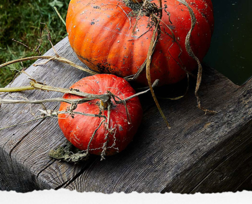 Herbstliches Kürbisfoto mit Hinweis auf Herbst-Betriebsurlaub von 28.9.-17.10.