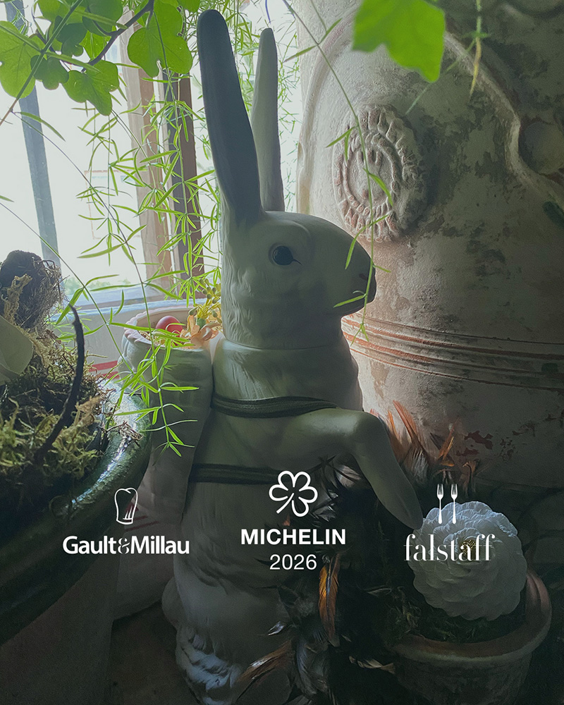 Erfolge und Auszeichnungen Erfolge und Auszeichnungen