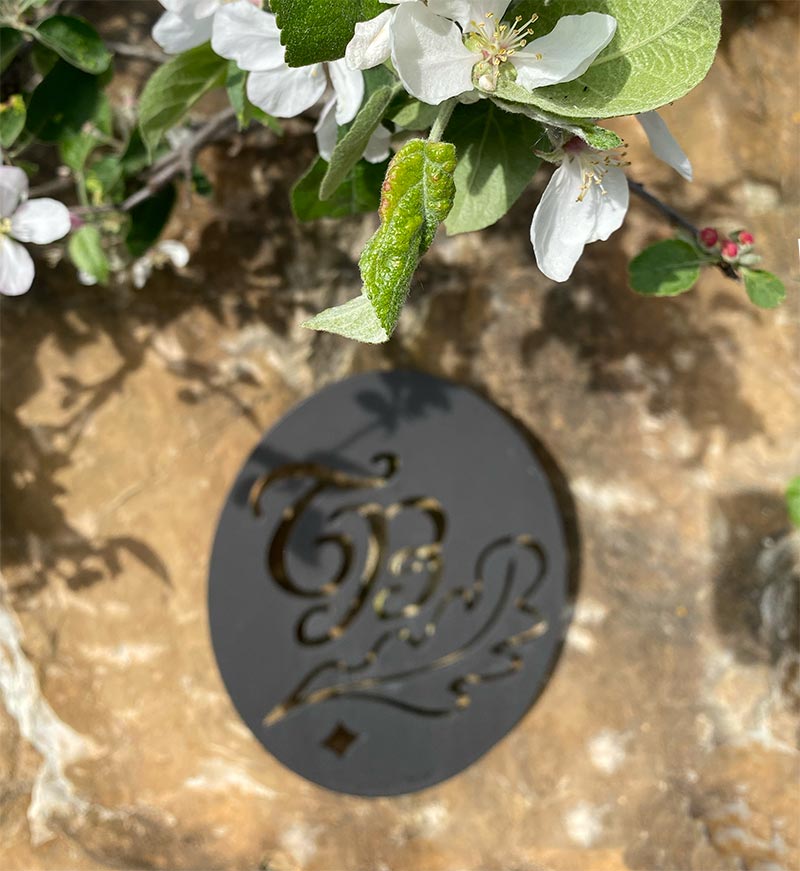 Apfelblüten am Eingang des Bauerngartens