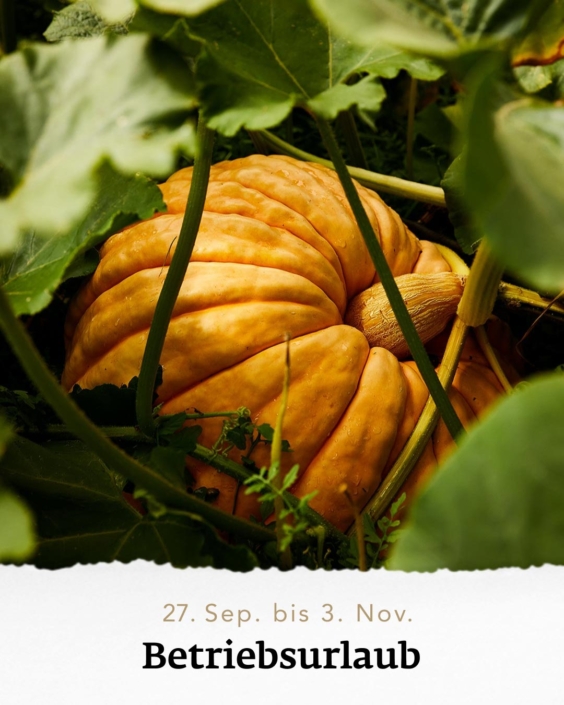 Herbst-Betriebsurlaub in der Rauchkuchl