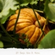 Herbst-Betriebsurlaub in der Rauchkuchl